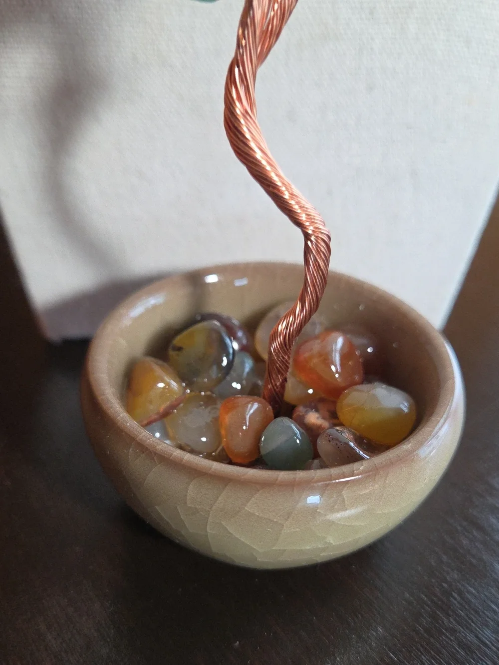 Jade Tree